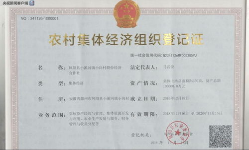 我国首次向农村集体经济组织颁发登记证书
